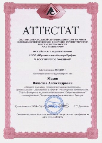 Описание изображения