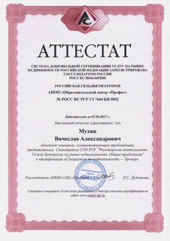 Описание изображения